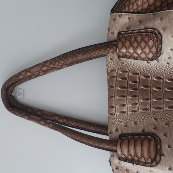 Crocodile purse - Picture 2 of 7